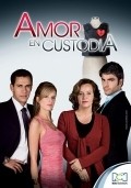 Amor en custodia movie in Juan Carlos Vasquez filmography.