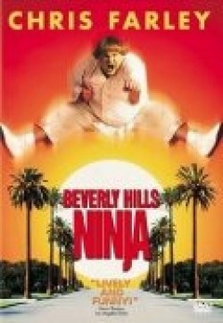 Beverly Hills Ninja movie in Dennis Dugan filmography.