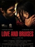 Love and Bruises movie in Lou Ye filmography.
