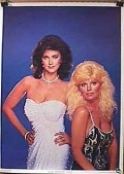 Partners in Crime is the best movie in Loni Anderson filmography.