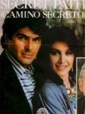 El camino secreto movie in Daniela Romo filmography.