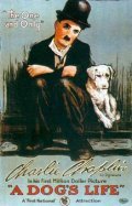 A Dog's Life movie in Charles Chaplin filmography.