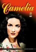 Camelia movie in Eduardo Alcaraz filmography.