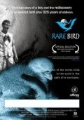 Rare Bird movie in Lyusinda Sperling filmography.