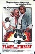 Flash and the Firecat is the best movie in Joan Shawlee filmography.