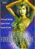 Cyberella: Forbidden Passions is the best movie in Kevin Patrick Walls filmography.