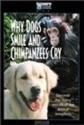 Why Dogs Smile & Chimpanzees Cry movie in Sigourney Weaver filmography.