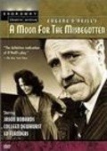 A Moon for the Misbegotten movie in Jason Robards filmography.
