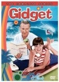 Gidget  (serial 1965-1966) is the best movie in Betti Konner filmography.