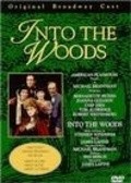 Into the Woods movie in James Lapine filmography.