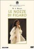 Le nozze di Figaro is the best movie in Renee Fleming filmography.