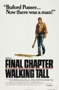 Final Chapter: Walking Tall movie in Jack Starrett filmography.