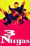 3 Ninjas movie in Jon Turteltaub filmography.