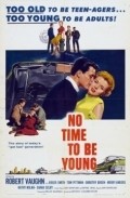 No Time to Be Young movie in David Lowell Rich filmography.