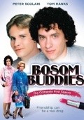 Bosom Buddies  (serial 1980-1982) movie in Joel Zwick filmography.