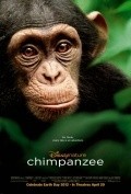 Chimpanzee movie in Mark Linfield filmography.