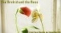 The Orchid and the Rose movie in Dennis Tal filmography.