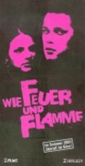 Wie Feuer und Flamme is the best movie in Andreas Hoppe filmography.