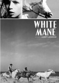 Crin blanc: Le cheval sauvage movie in Albert Lamorisse filmography.