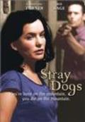 Stray Dogs movie in Ryan Kelly filmography.
