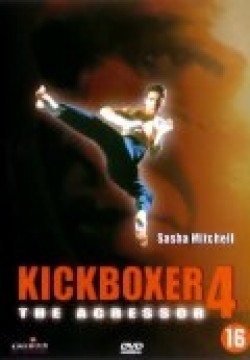 Kickboxer 4: The Aggressor movie in Albert Pyun filmography.