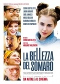 La bellezza del somaro movie in Sergio Castellitto filmography.