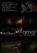 Amor is the best movie in Mattis Herman Nyquist filmography.