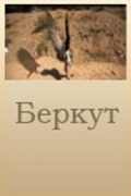 Berkut is the best movie in Said Dashuk-Nigmatulin filmography.