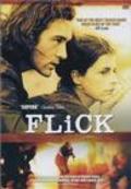 Flick movie in Fintan Connolly filmography.