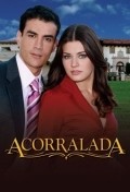 Acorralada is the best movie in Sonya Smith filmography.