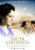 Incir cekirdegi movie in Selda Cicek filmography.