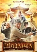 Xin shao lin si movie in Benny Chan filmography.