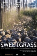 Sweetgrass movie in Ilisa Barbash filmography.