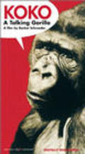 Koko, le gorille qui parle movie in Barbet Schroeder filmography.