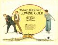 Flowing Gold movie in John Roche filmography.