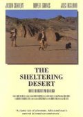 The Sheltering Desert movie in Regardt van den Bergh filmography.