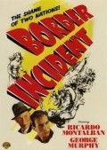 Border Incident movie in Anthony Mann filmography.