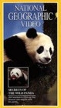 Secrets of the Wild Panda movie in Mark Stouffer filmography.