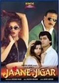 Jaane Jigar movie in Mamta Kulkarni filmography.