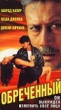 Vishwavidhaata movie in Ayesha Jhulka filmography.