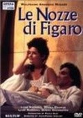 Le nozze di Figaro is the best movie in Ludovic Tezier filmography.