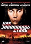 Kak zakalyalas stal is the best movie in Vladimir Konkin filmography.