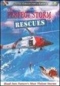 The Perfect Storm: Rescues is the best movie in Richard Gephardt filmography.