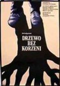 Darvo bez koren is the best movie in Marin Yanev filmography.