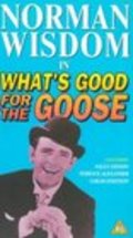 What's Good for the Goose is the best movie in Paul Whitsun-Jones filmography.