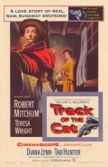 Track of the Cat movie in William A. Wellman filmography.