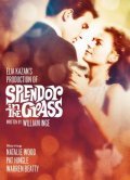 Splendor in the Grass movie in Elia Kazan filmography.