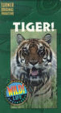 Tiger! movie in Sarita Choudhury filmography.