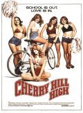 Cherry Hill High movie in Alex E. Goitein filmography.
