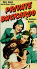 Private Buckaroo movie in Dick Foran filmography.